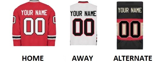 (image for) CHICAGO Pro Hockey Number Kit - Click Image to Close